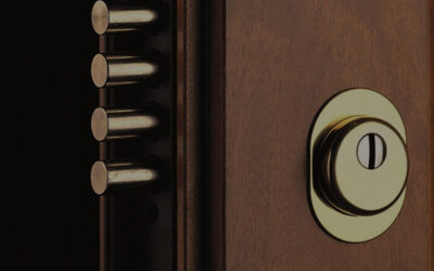 Sostituzione serratura Porta Blindata Paderno Dugnano Via Edera – 3347412376